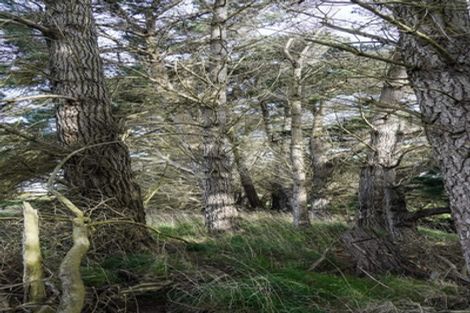 Photo of property in 21 Mcgilvray Road, Myross Bush, Invercargill, 9876