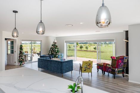 Photo of property in 455a Taonui Road, Colyton, Feilding, 4775