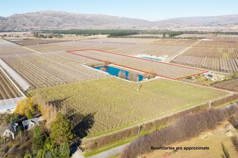 Photo of property in 319 Ripponvale Road, Cromwell, 9384