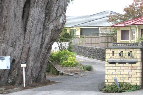 Photo of property in 139b Flanshaw Road, Te Atatu South, Auckland, 0610