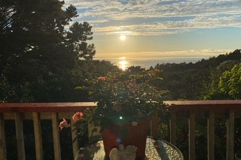 Photo of property in 38 Rauhuia Crescent, Parau, Auckland, 0604