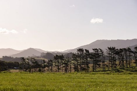 Photo of property in 55 Cullen Street, Mangawhai Heads, Mangawhai, 0505