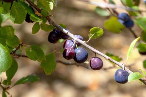 Photo of property in 61 Bliss Private Way, Thames, 3577