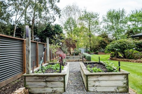 Photo of property in 587 Woodbury Road, Woodbury, Geraldine, 7991