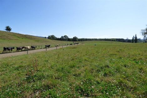 Photo of property in 336 Grove Road, Te Pahu, Hamilton, 3285