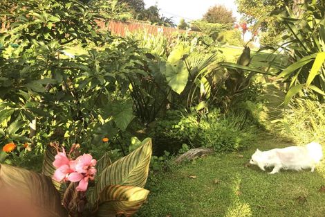 Photo of property in 72 Roberts Street, Waihi, 3610