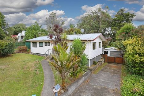 Photo of property in 31 Moloney Terrace, Pukekohe, 2120