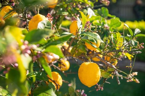 Photo of property in 450 Te Moana Road, Waikanae, 5036