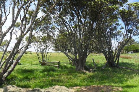 Photo of property in 4-8 Alcemene Lane, Baylys Beach, Dargaville, 0377