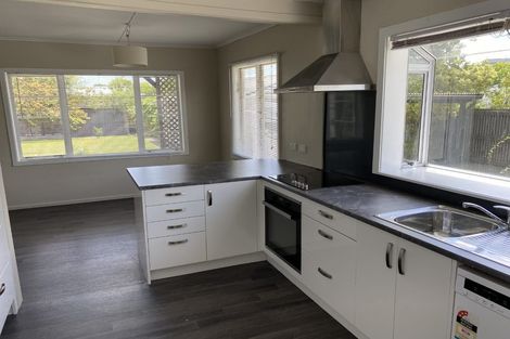 Photo of property in 411 Hastings Street South, Akina, Hastings, 4122