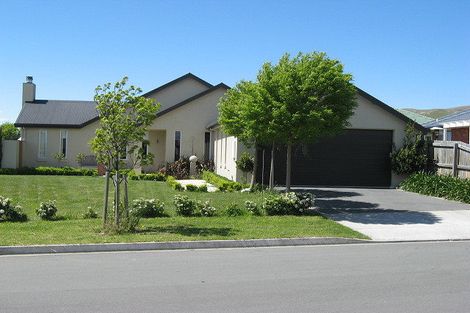 Photo of property in 45 Hope Drive, Witherlea, Blenheim, 7201