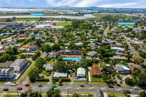 Photo of property in 107 Te Atatu Road, Te Atatu South, Auckland, 0610