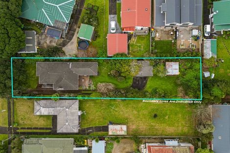 Photo of property in 22 Brandon Road, Glen Eden, Auckland, 0602