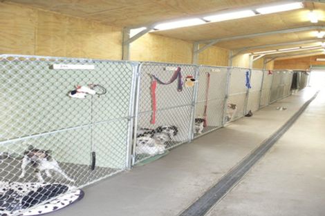 Photo of property in 746 Clutha River Road, Rongahere, Balclutha, 9274