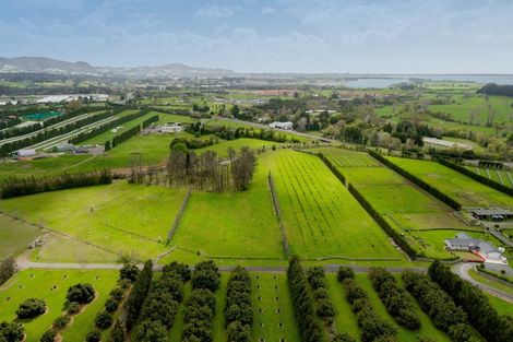 Photo of property in 30b Thompsons Track, Aongatete, 3178