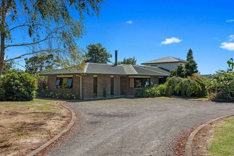 Photo of property in 189 Otara Road, Otara, Opotiki, 3197