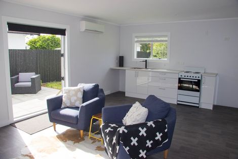 Photo of property in 21 Marshall Street, Fairfield, Hamilton, 3214