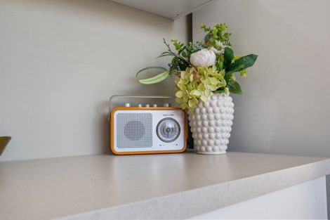 Photo of property in 66 Molyneux Avenue, Cromwell, 9310