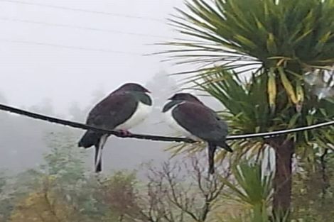 Photo of property in 1114 Takaka Hill Highway, Takaka Hill, 7198