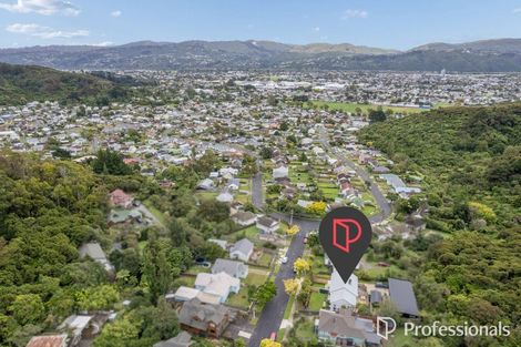 Photo of property in 7 Swainson Street, Naenae, Lower Hutt, 5011