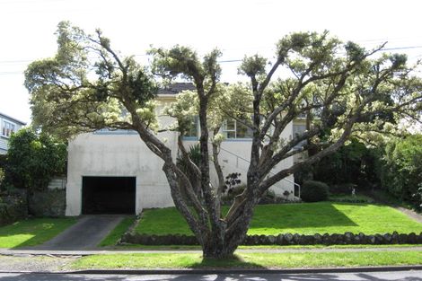 Photo of property in 41 Mclean Street, Strandon, New Plymouth, 4312