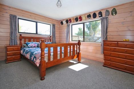 Photo of property in 43 Waterford Road, Fitzroy, Hamilton, 3206