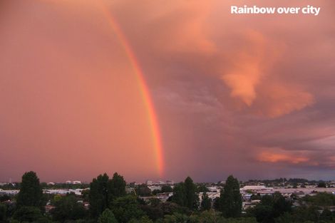 Photo of property in 51 Ellicott Road, Nawton, Hamilton, 3200