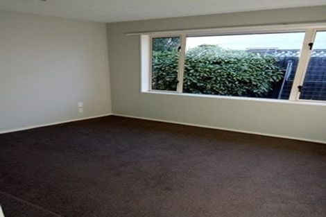 Photo of property in 71c Grafton Street, Waltham, Christchurch, 8011