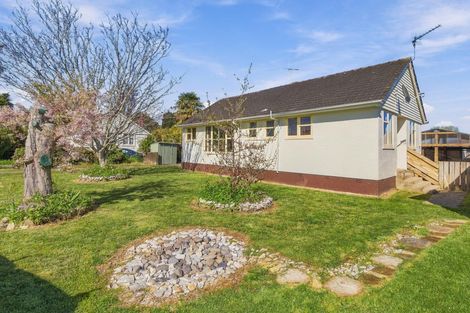 Photo of property in 4 Elizabeth Street, Cambridge, 3434
