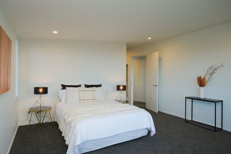 Photo of property in 18 Selkirk Street, Roslyn, Dunedin, 9010