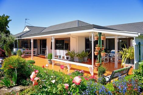 Photo of property in 56 South Belt, Solway, Masterton, 5810