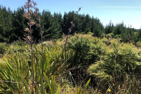 Photo of property in 77 Waitarere Rise Avenue, Waitarere, Levin, 5510