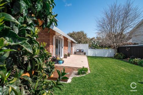 Photo of property in 77 Matua Road, Matua, Tauranga, 3110