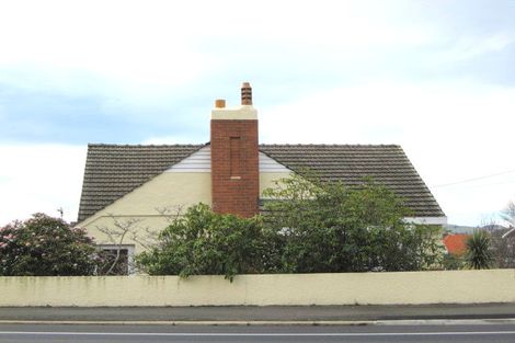 Photo of property in 113 Forbury Road, Saint Clair, Dunedin, 9012