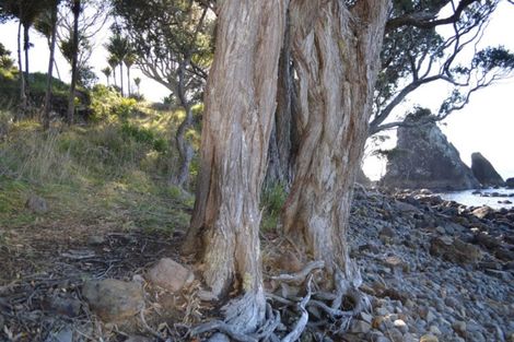 Photo of property in 24 Boulder Bay Drive, Tuateawa, Coromandel, 3583