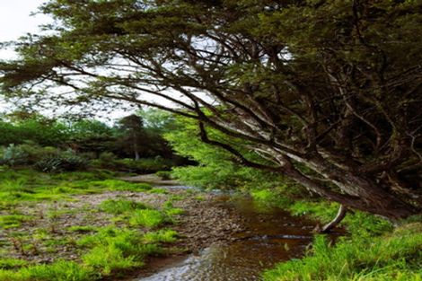 Photo of property in 742a Tara Road, Mangawhai, Kaiwaka, 0573