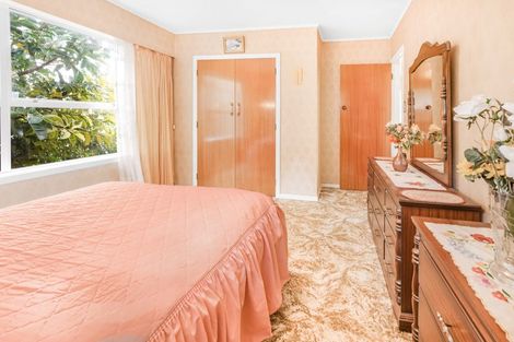 Photo of property in 14a Rothwell Street, Dinsdale, Hamilton, 3204