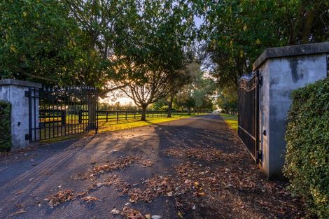 Photo of property in 105 Marshmeadow Road, Newstead, Hamilton, 3286