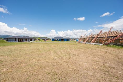 Photo of property in 16 William Dale Place, Wakefield, 7025