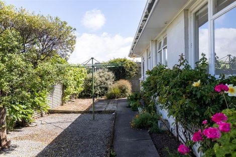 Photo of property in 165 Hospital Road, Witherlea, Blenheim, 7201