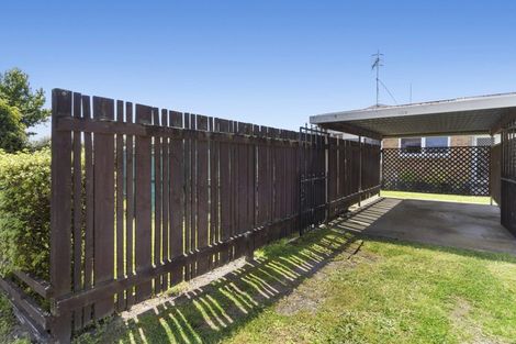 Photo of property in 1252b Cameron Road, Gate Pa, Tauranga, 3112