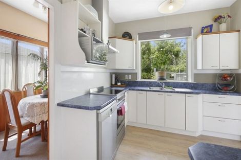 Photo of property in 54 Mathesons Road, Phillipstown, Christchurch, 8011