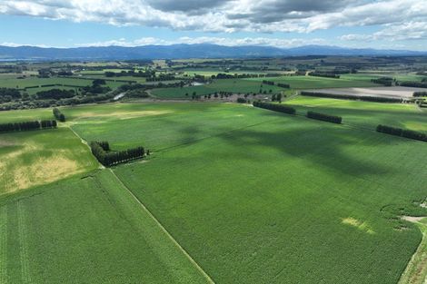 Photo of property in 247 Mahaki Road, Dyerville, Martinborough, 5781