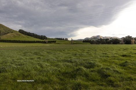 Photo of property in 18 Clermont Street, Ward, Seddon, 7285