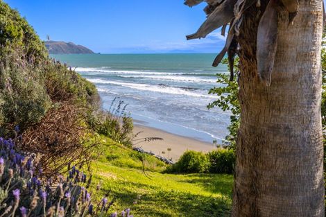Photo of property in 84 Ames Street, Paekakariki, 5034