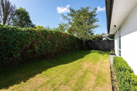 Photo of property in 211a Springfield Road, St Albans, Christchurch, 8014