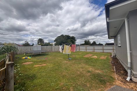 Photo of property in 132b Arapuni Street, Putaruru, 3411