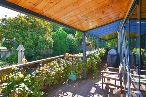 Photo of property in 55a Joll Road, Havelock North, 4130