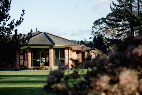 Photo of property in 181 Wharawhara Road, Tahawai, Katikati, 3178