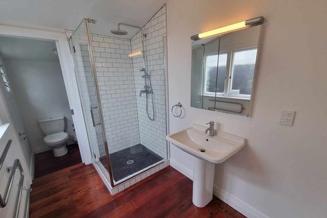 Photo of property in 64 First Avenue, Kingsland, Auckland, 1021
